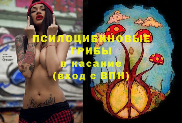 соль ск Аркадак