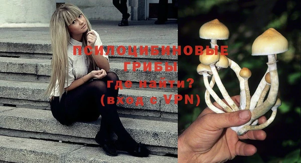 МДПВ Балахна