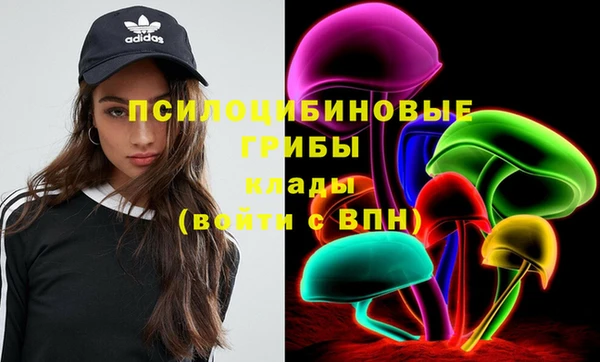 соль курить ск Арсеньев