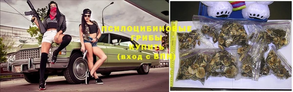 соль курить ск Арсеньев