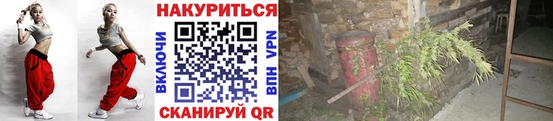 сколько стоит Покровск мега маркетплейс площадка как зайти Шишки марихуана MAZAR